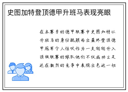 史图加特登顶德甲升班马表现亮眼